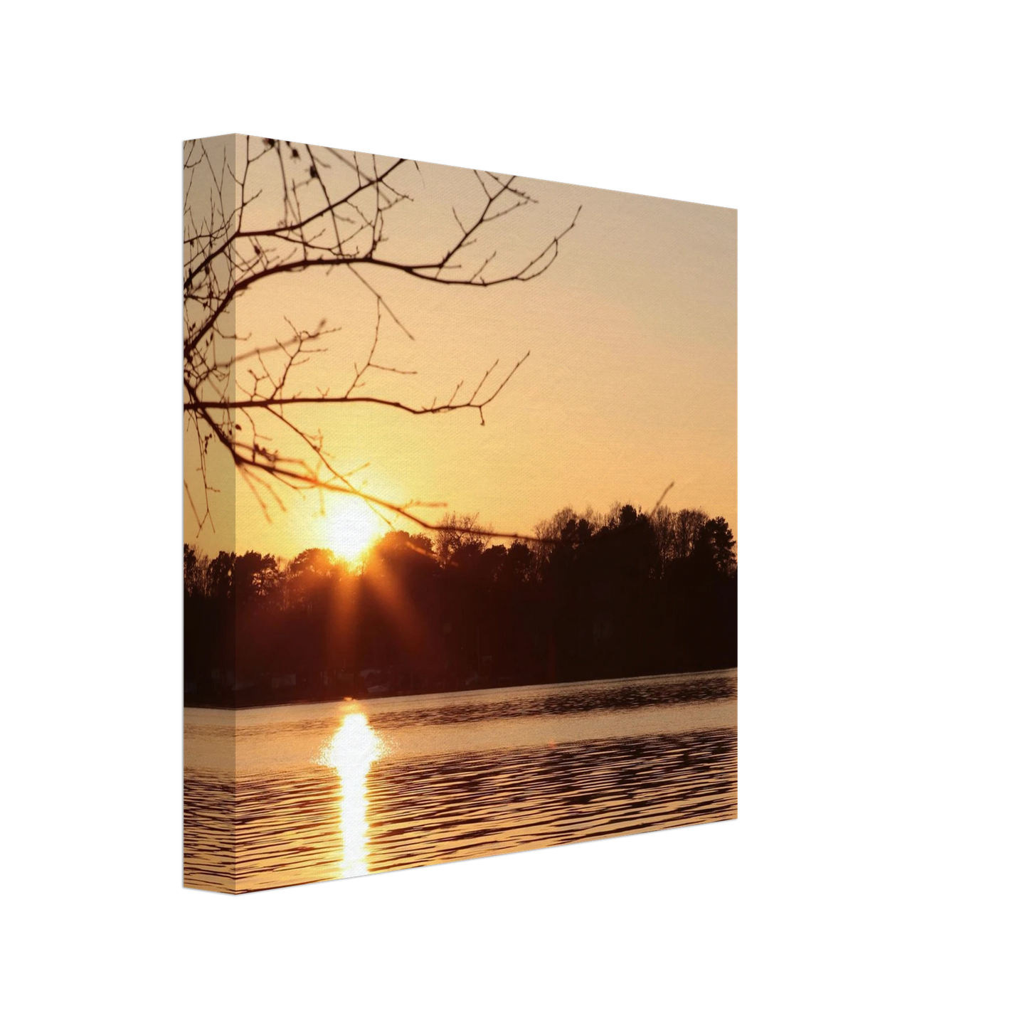 bbbb897c-7734-4857-9f8e-488c8371d7d1