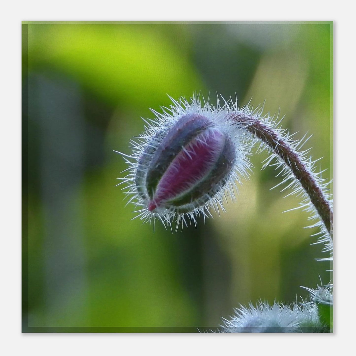5d0b0777-67cc-4fff-8cdc-6eb141548aeb