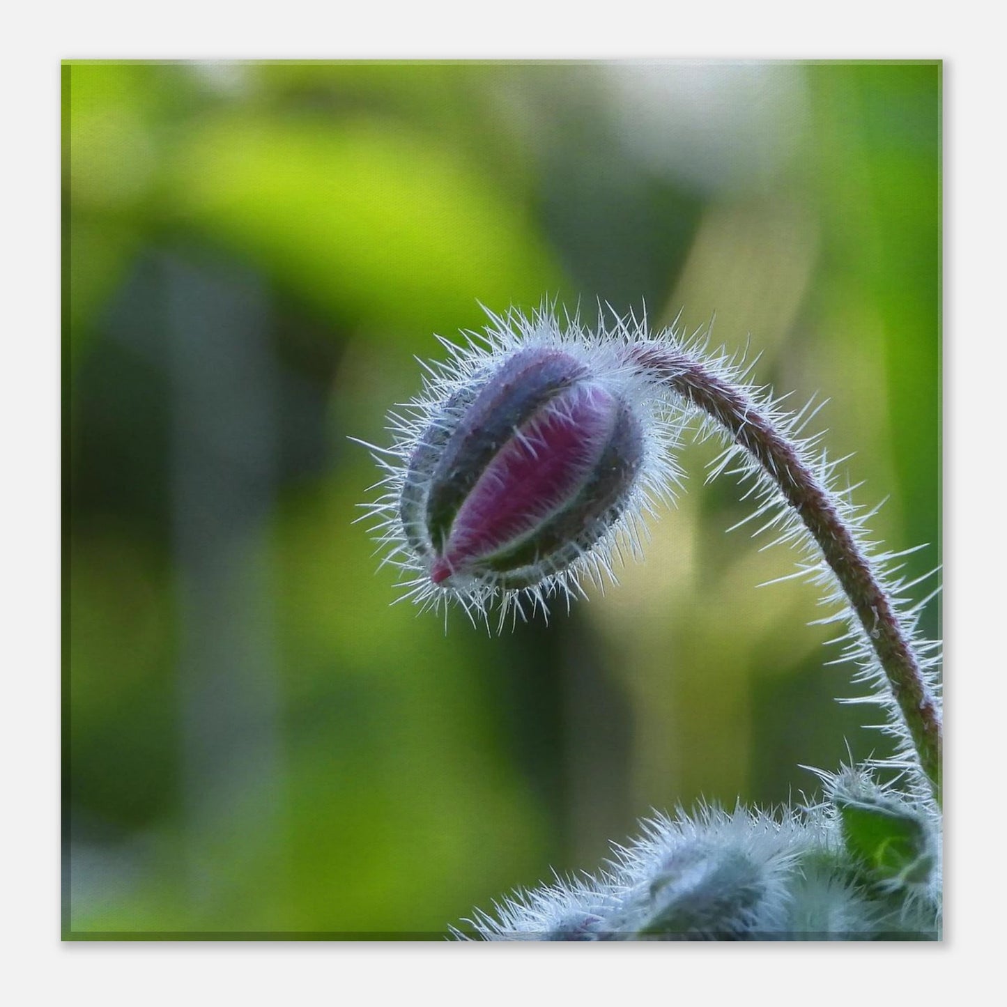 a9063892-9b79-4abc-afa8-5d146360c481