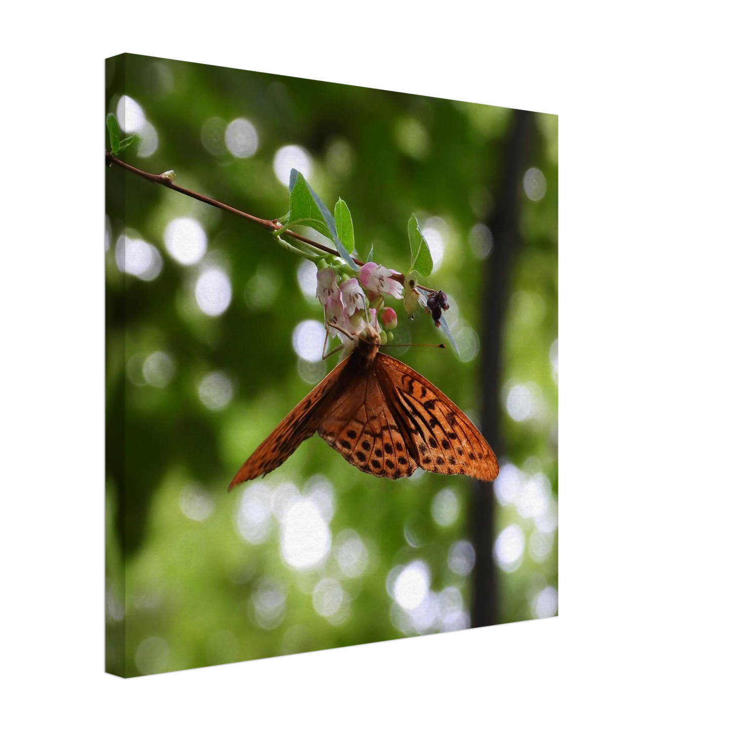 c0721eab-c1e3-4af4-93ce-9c5a7d64c429