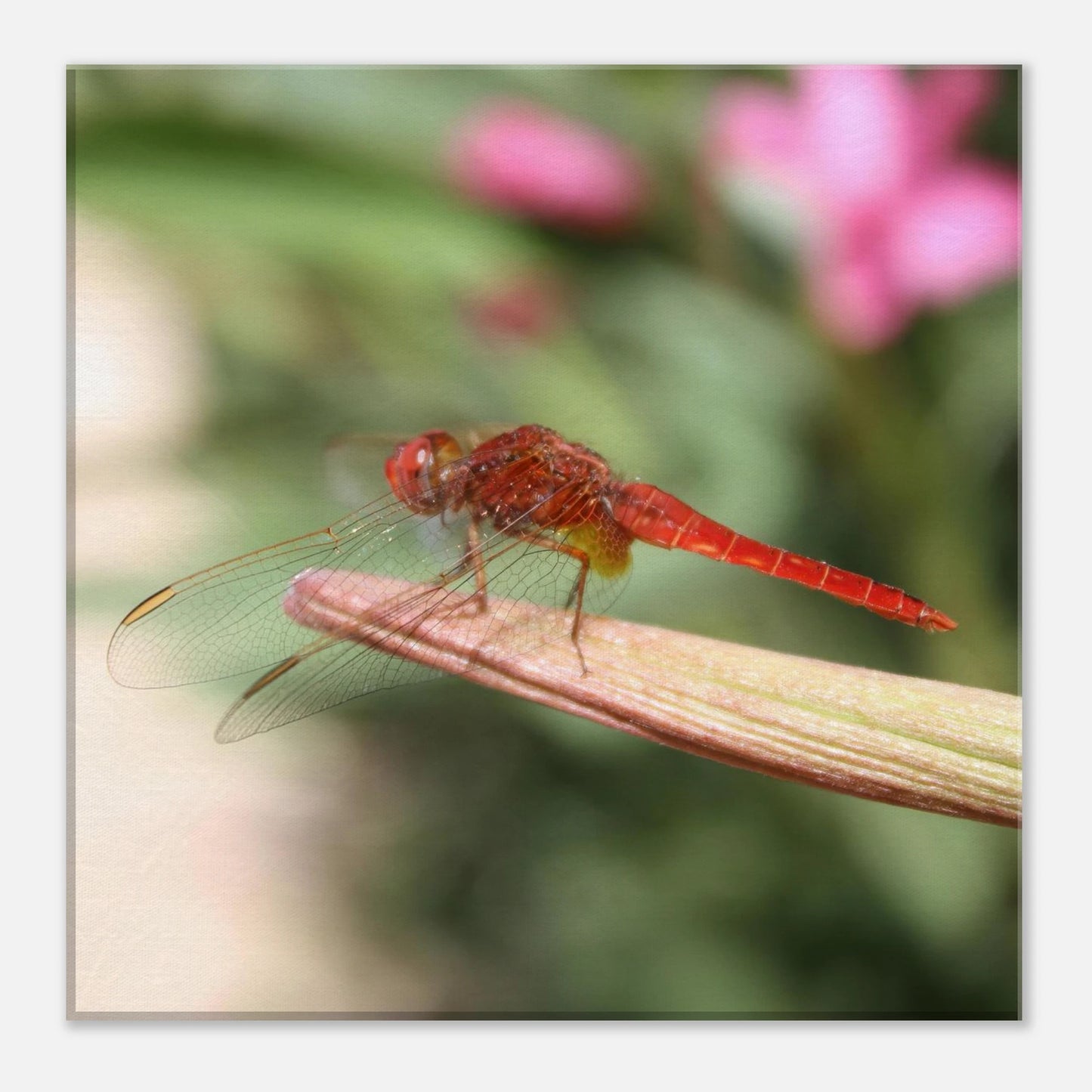 ca674e05-15f6-4ef1-87ce-13f217e21eab