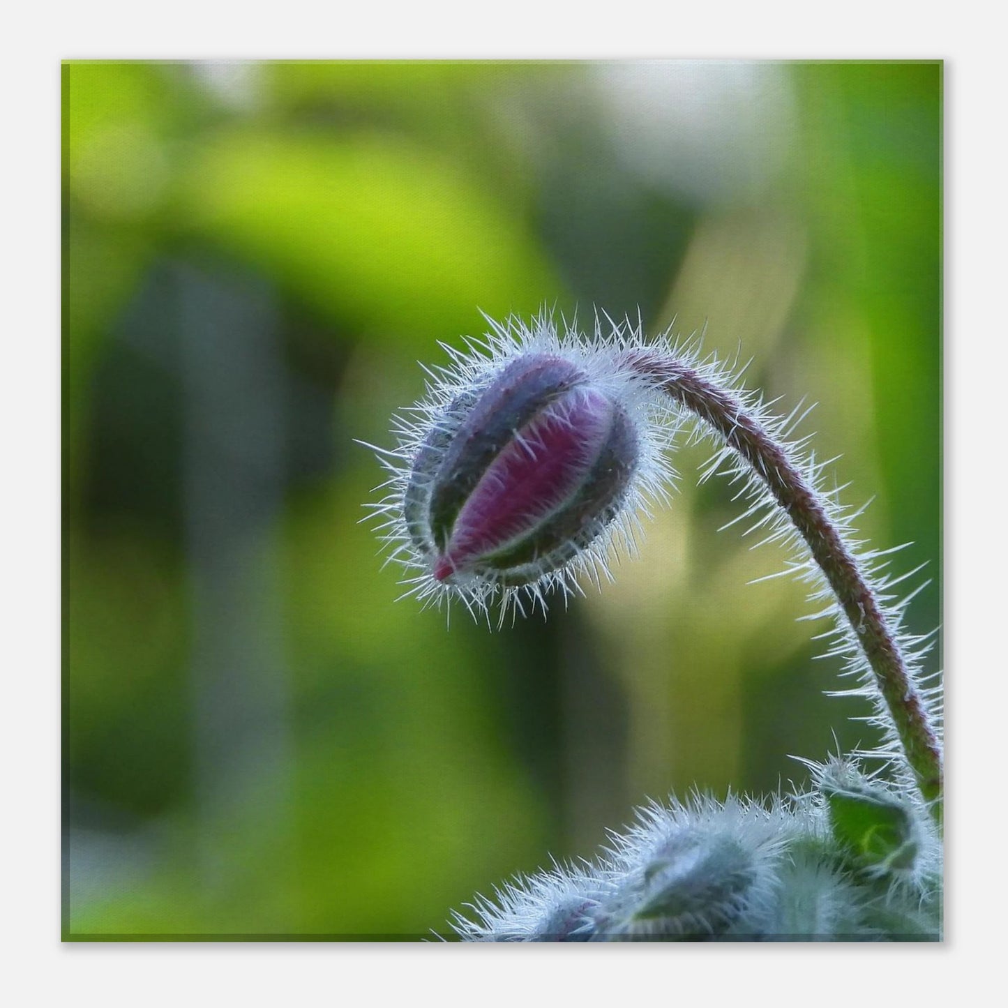 cde79098-d486-4814-91e9-7ecb15f57098