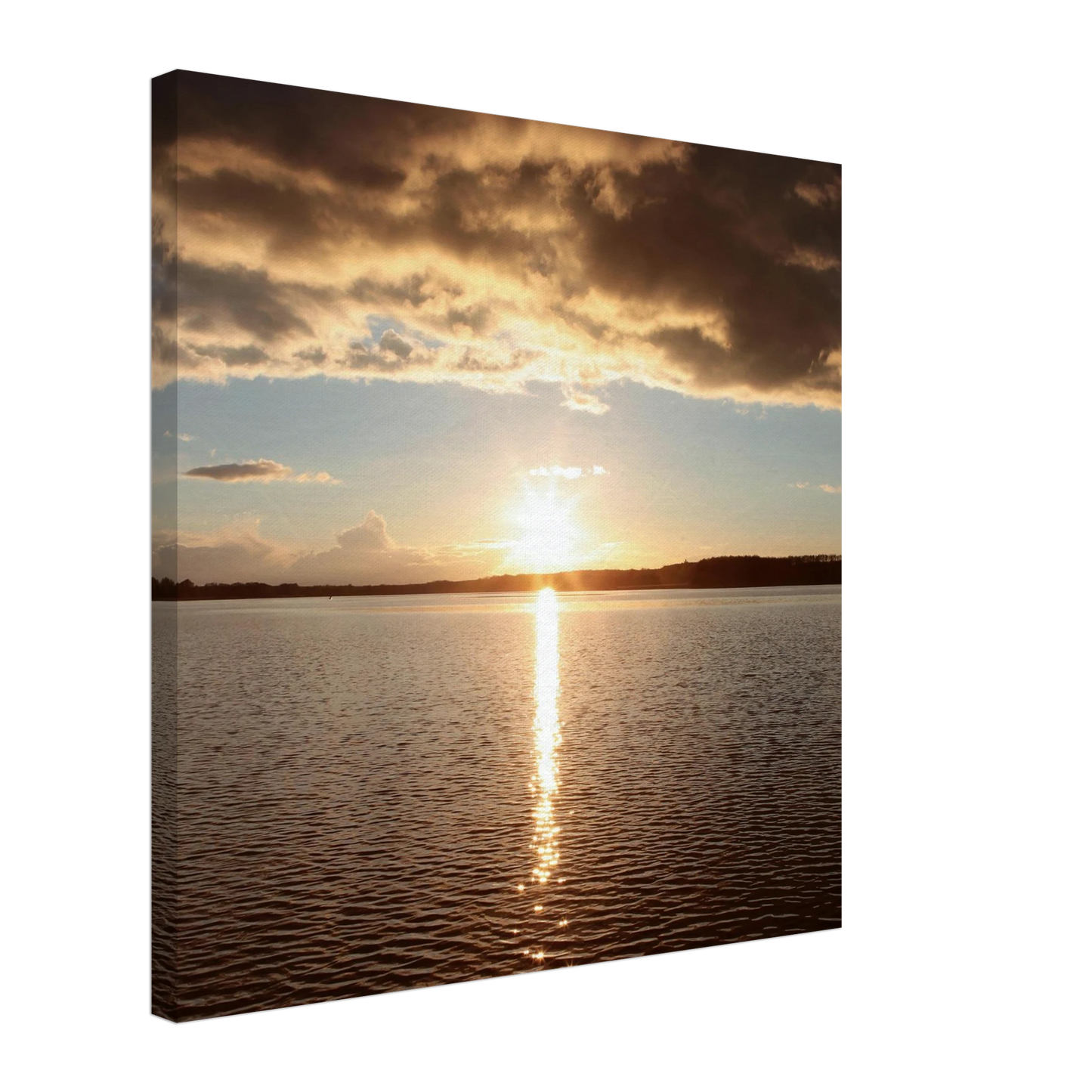 d8eb65fd-c16a-47b9-8158-252c071ed765
